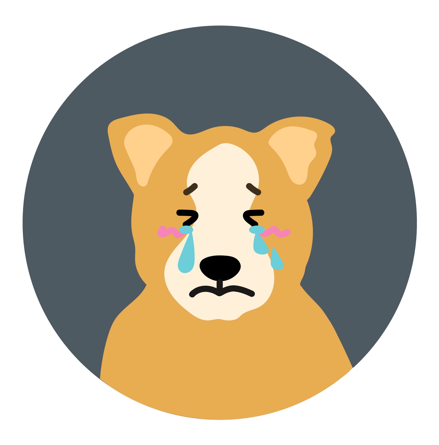 animal 7