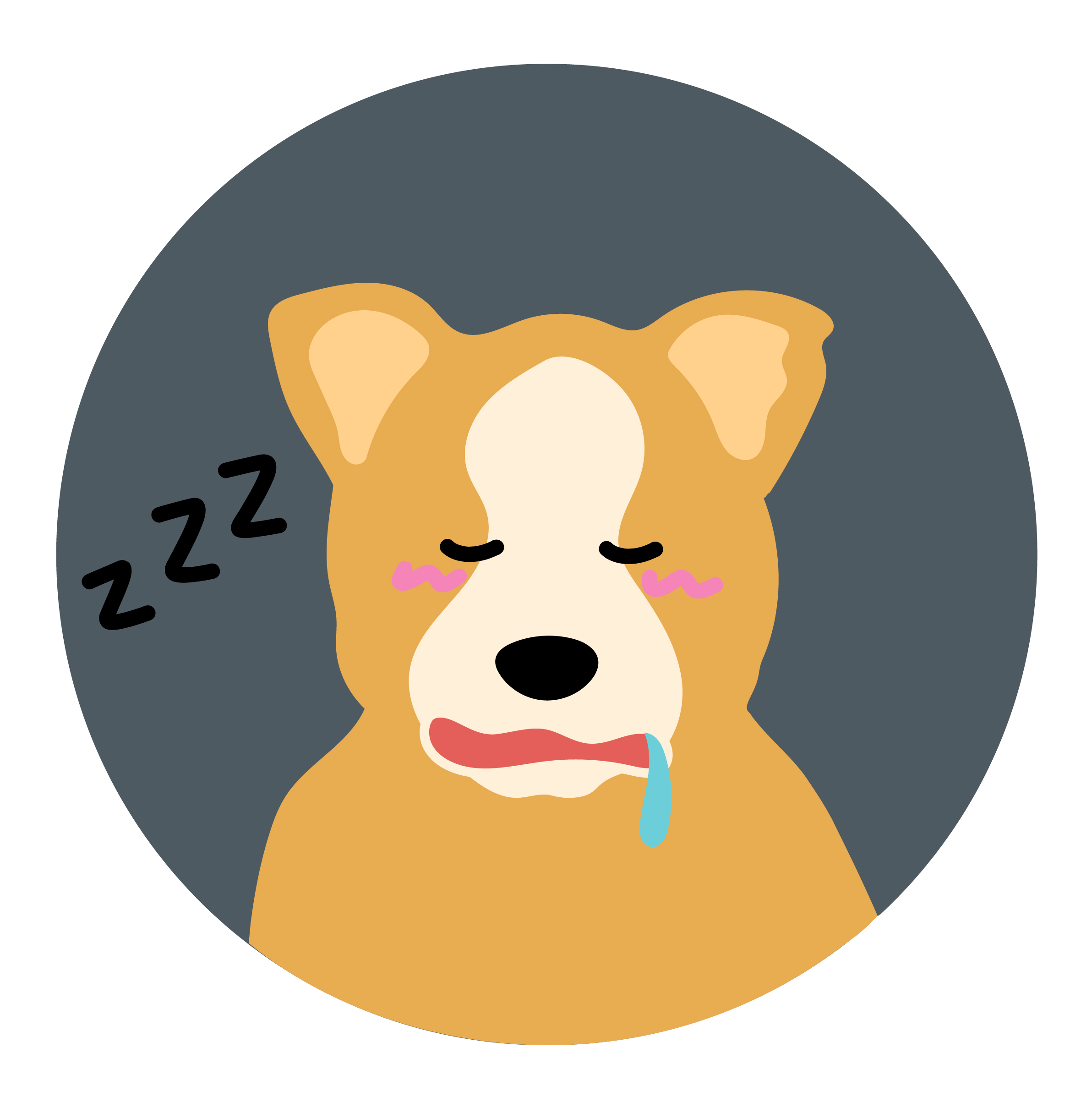 animal 8
